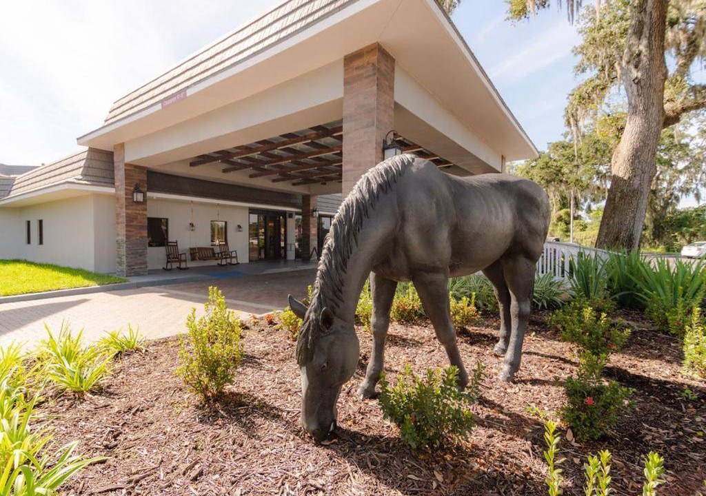Ocala House | 300 m² Motel ∙ 127 guests