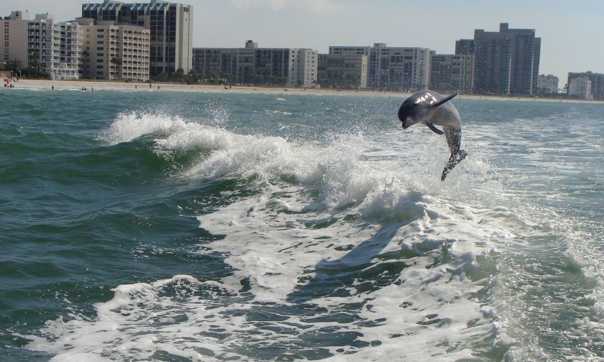 Sand Key Condo | 35-40% discount for 2025-Gorgeous Hideaway on the Beach-Crescent Beach Club