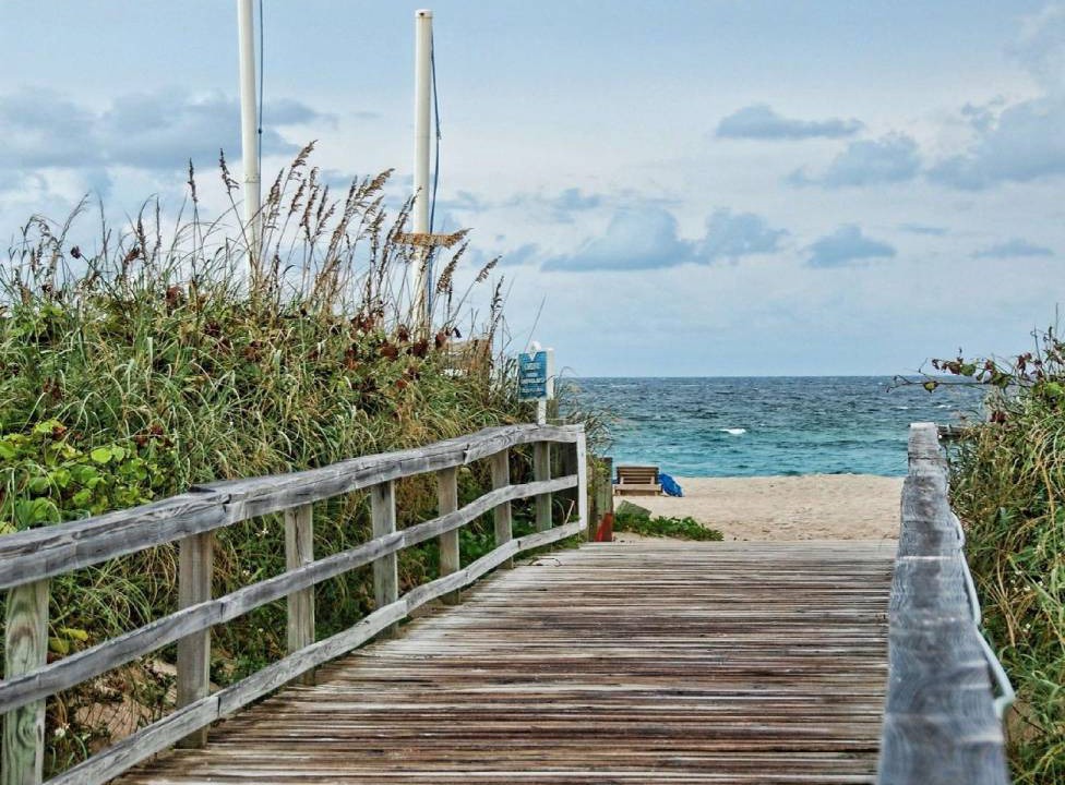 Palm Beach Shores Hotel | 51 m² Hotel ∙ 127 guests
