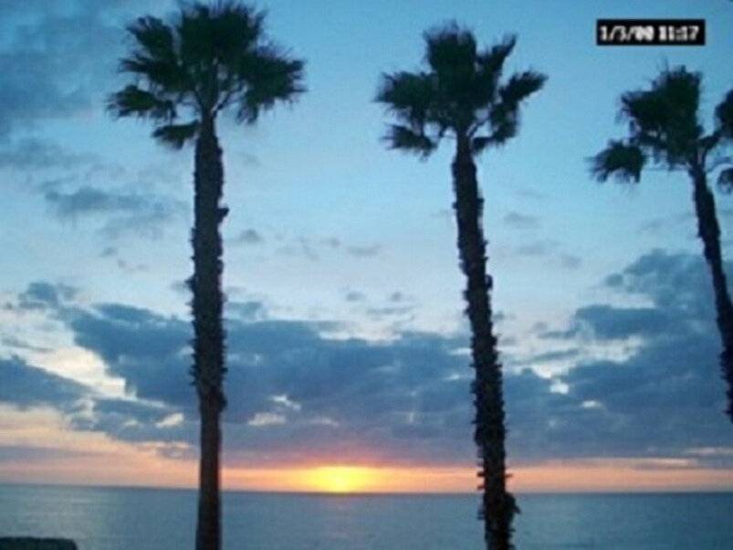 Longboat Key Condo | 70 m² Condo ∙ 1 bedroom ∙ 4 guests