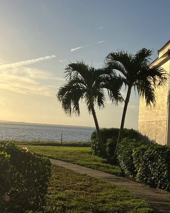 Palma del Mar Condo | 73 m² Condo ∙ 1 bedroom ∙ 2 guests