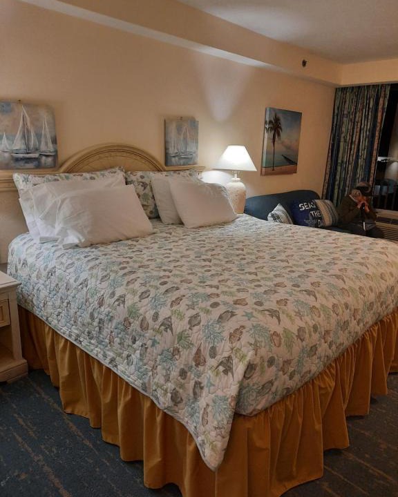 Ortona Park Apartment | A Happy Seashell Story