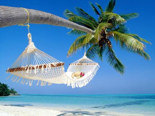 Bayview House | Affordable Two Bedroom Tropical Condo - Private Beach, Pools, Hot Tub