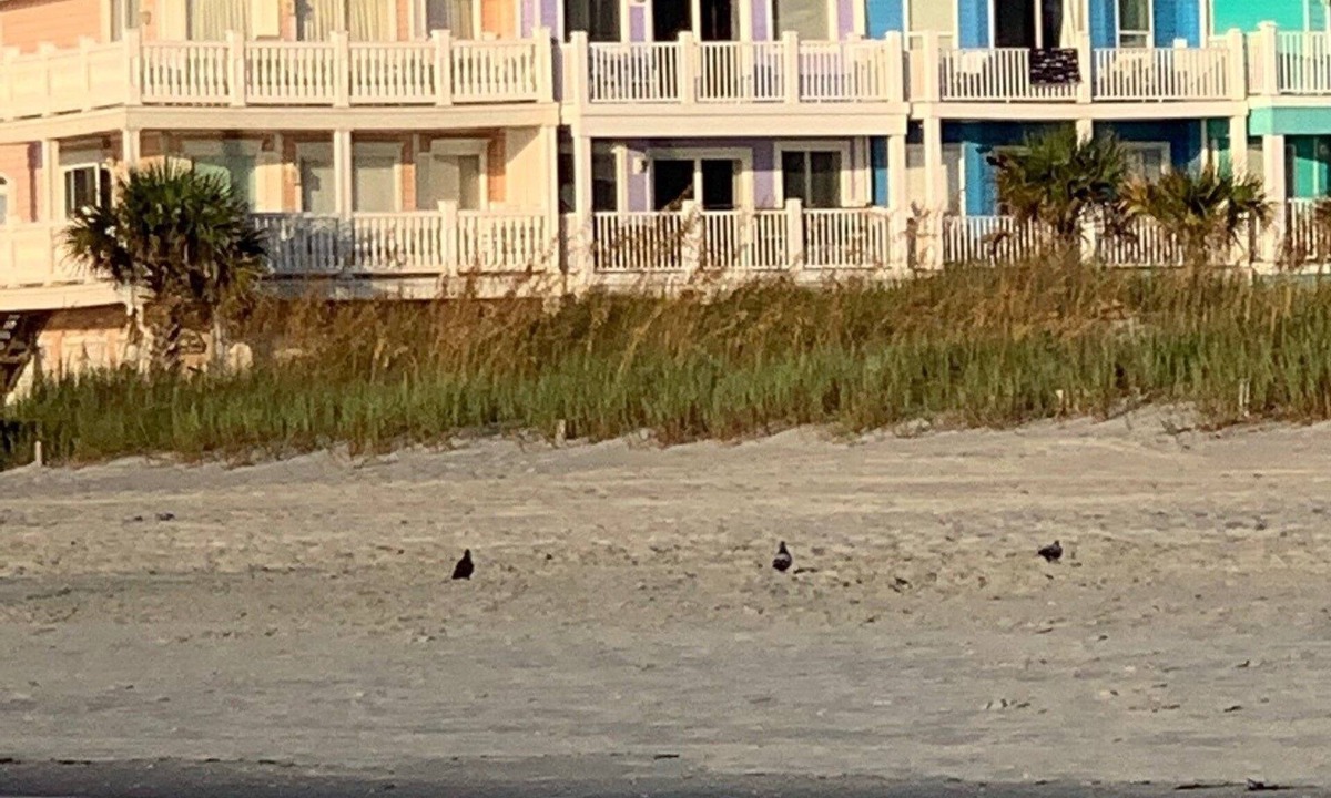 Garden City House | Beach Property - Private Townhome w/Balconies, 3 Bedrm 2 1/2 Bath, 2 Car Garage