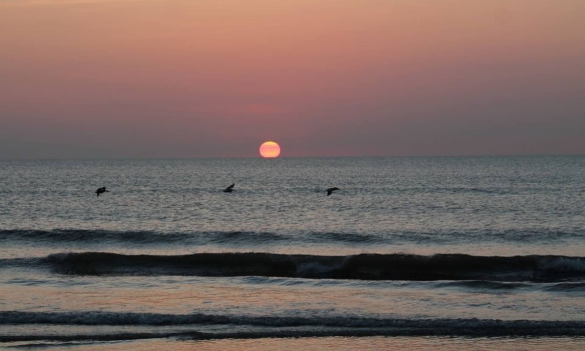 Ormond-by-the-Sea Condo | Beachside Beauty ! Stunning Ocean & Pool Views !