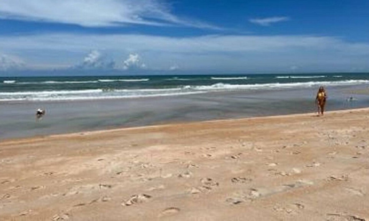 Flagler Beach House | Beachside Townhouse Flagler Beach. 1 block to beach walkover.