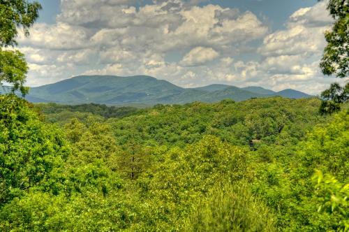 McCaysville House | Bear Ridge Hideaway - Cuddleup