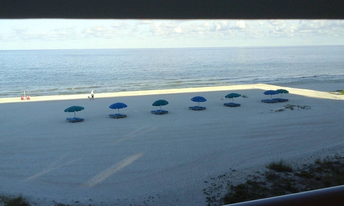 Indian Shores Condo | Beautiful beachfront couples retreat #202 - Special building reno Pricing
