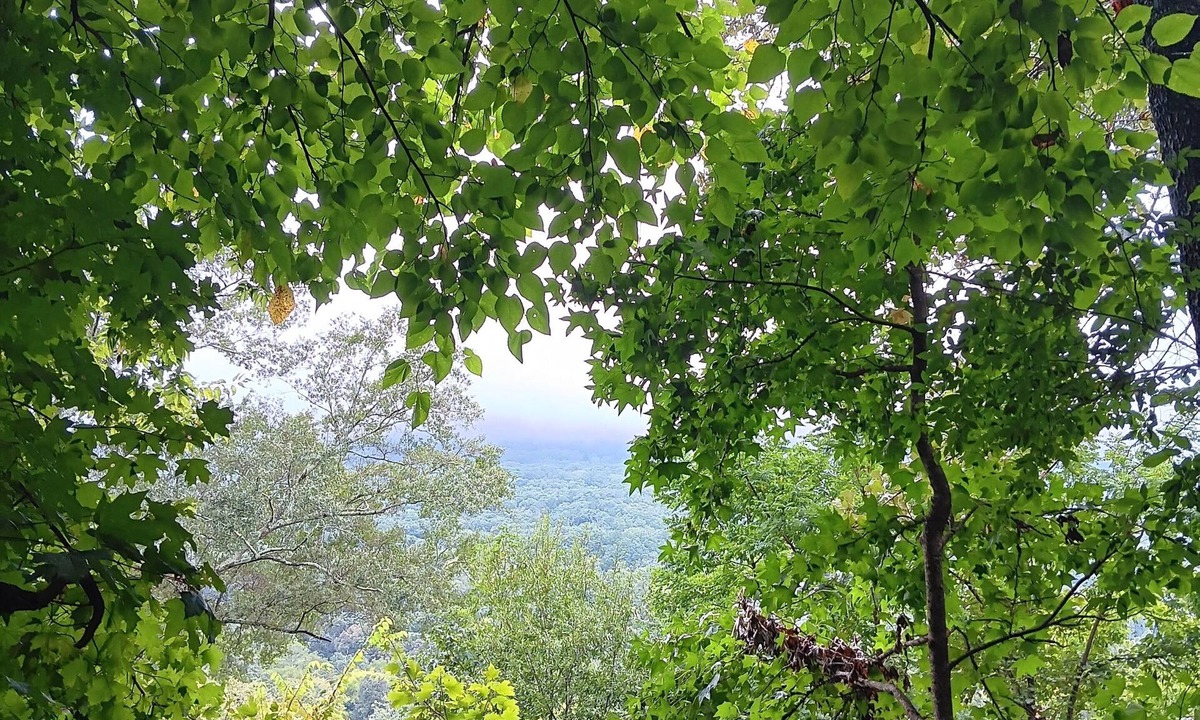 St. Elmo Improvement League Apartment | Beautiful Lookout Mountain view in Chattanooga/ev charger/SAUNA/Hot Tub