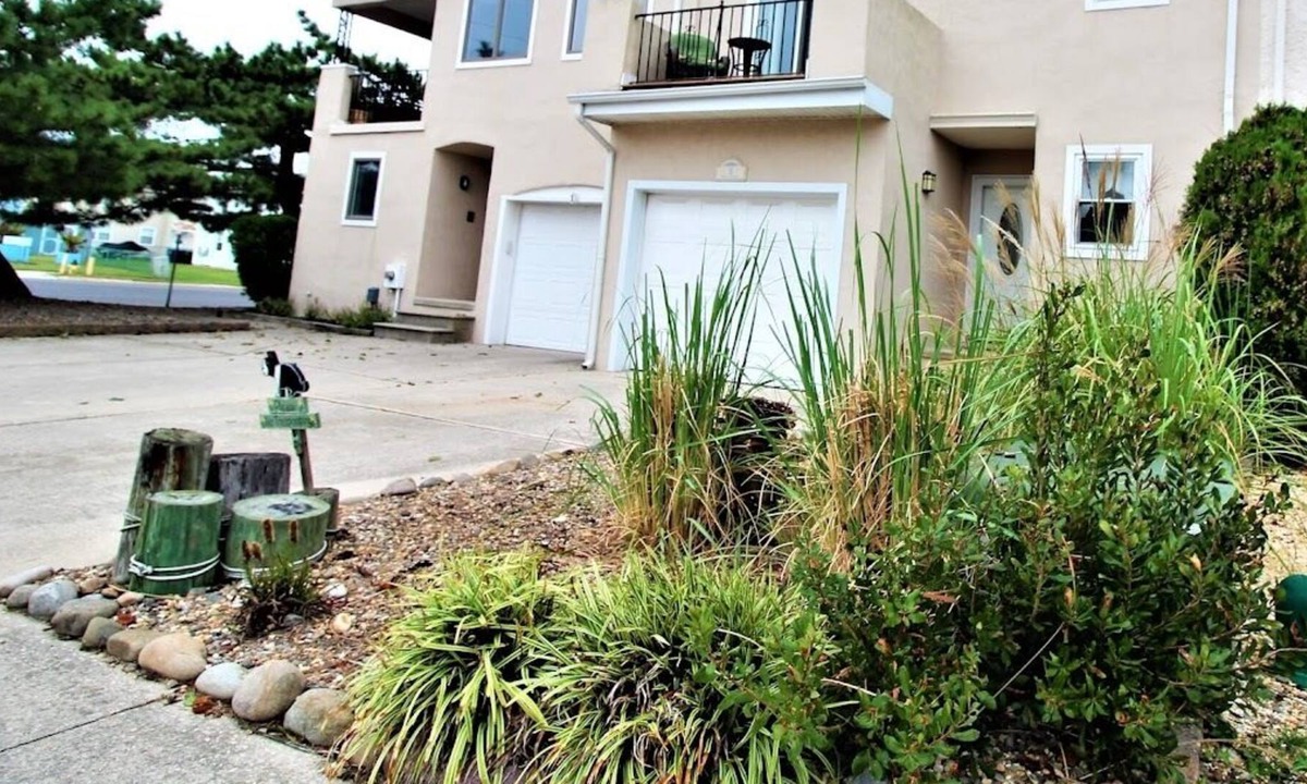 Southend House | Beautiful South end pet friendly home