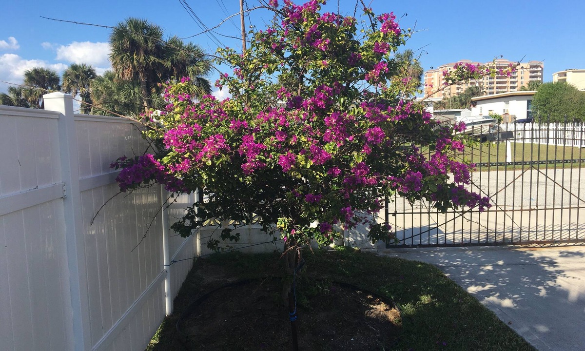 Carter Norwood House | Beautiful vacation home - just 2-Minute Walk to World-Famous Daytona Beach