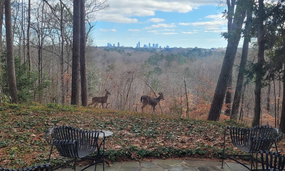 Mount Paran - Northside House | Best view of Atlanta on Wooded Ridge