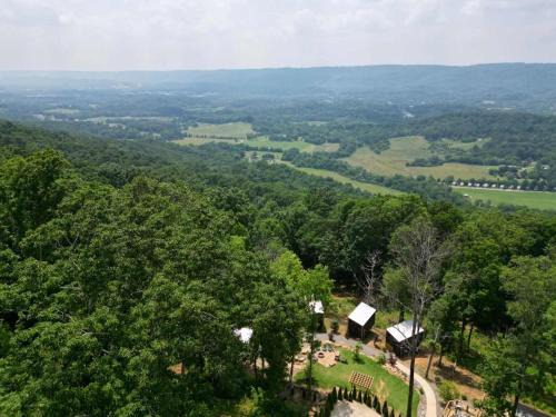 Wildwood House | Bird's Nest Spruce at Treetop Escapes