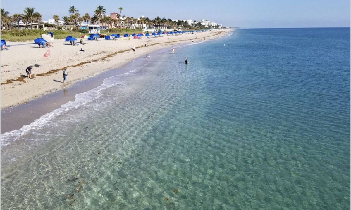 Lake Worth Cottage | Blue Lizard Cottage 1 - Walk/Bike Downtown&Beach