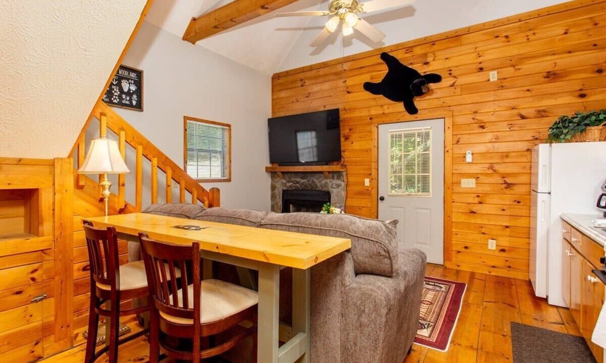 Ellijay Cabin | Cabin Near Amicalola Falls | Firepit | Great for a summer getaway!