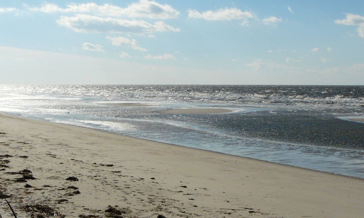 Villas House | CAPE MAY BEACH,PET FRIENDLY, lovely home 1 block to dog friendly beach, preserve
