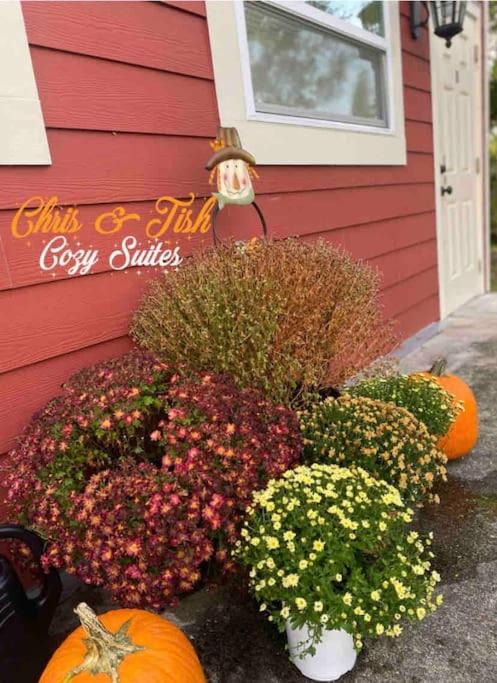 Eatonville Apartment | Chris & Tish Cozy Suites B