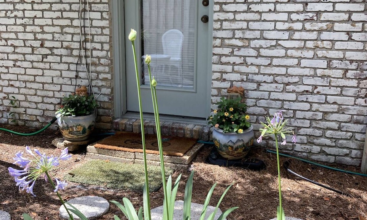 Atlantic Beach Apartment | Clean and cute 1b/1b, kitchenette, w/d, private fenced in yard, 1 block to beach