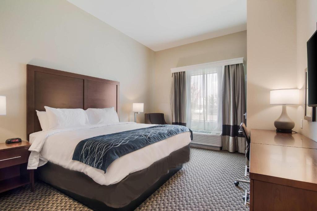 Rock Hill Hotel | Comfort Inn & Suites Rock Hill Northeast