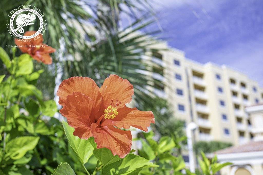 Palm Coast Condo | Condo ∙ 3 bedrooms ∙ 8 guests