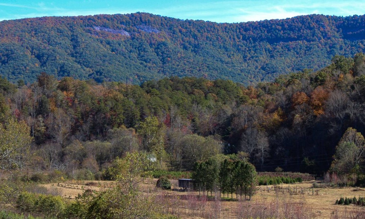 Old Fort House | Cozy Country 3/2 w/shared outdoor fire-pit, playground & water access (Pets OK!)