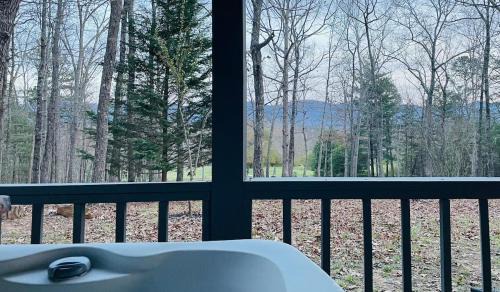 Blairsville House | Cozy Mountain view Cottage with Hot Tub & Great Location in Blairsville