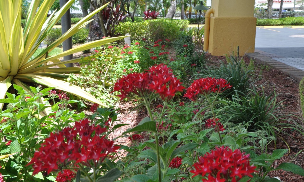 Florida City Hotel | Days Inn by Wyndham Florida City