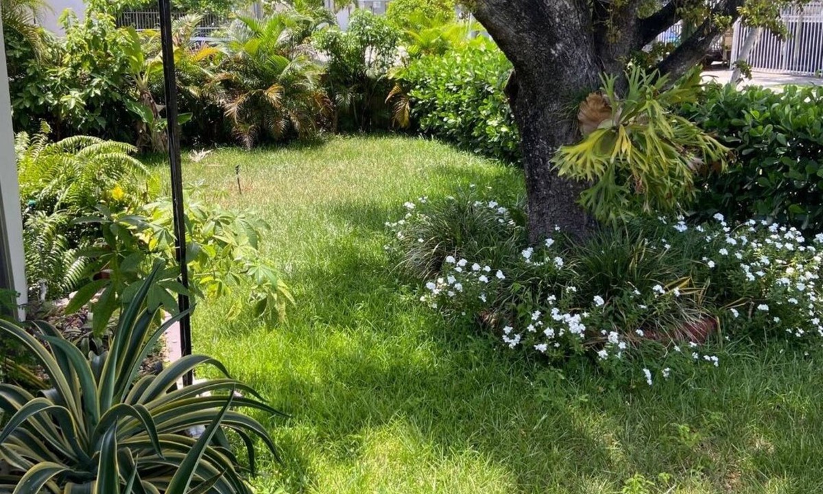 Seybold House | ECO SHARED GARDENIAN