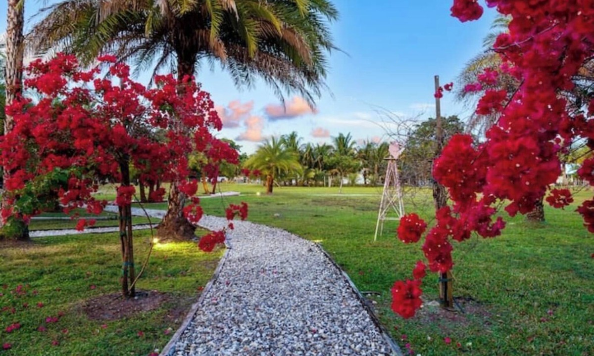 Hunt Club House | Farm Stay, 5b/5bath, Alpaca & Donkey Farm, 5 Acres