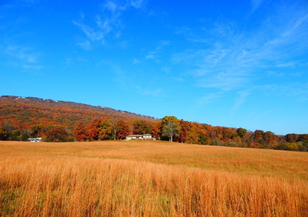 Lookout Valley Neighborhood Association House | Fryars' Green at Tennessee RiverPlace
