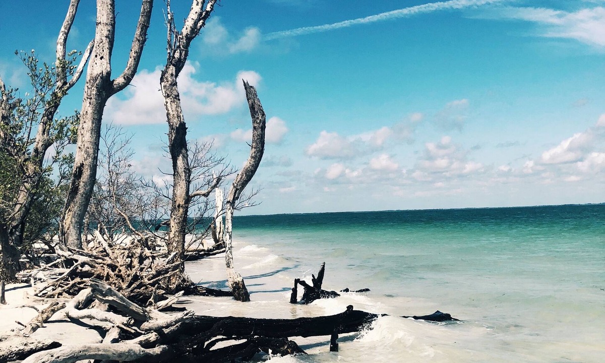 Alden Pines House | Great Reviews - Lake view - Peaceful location