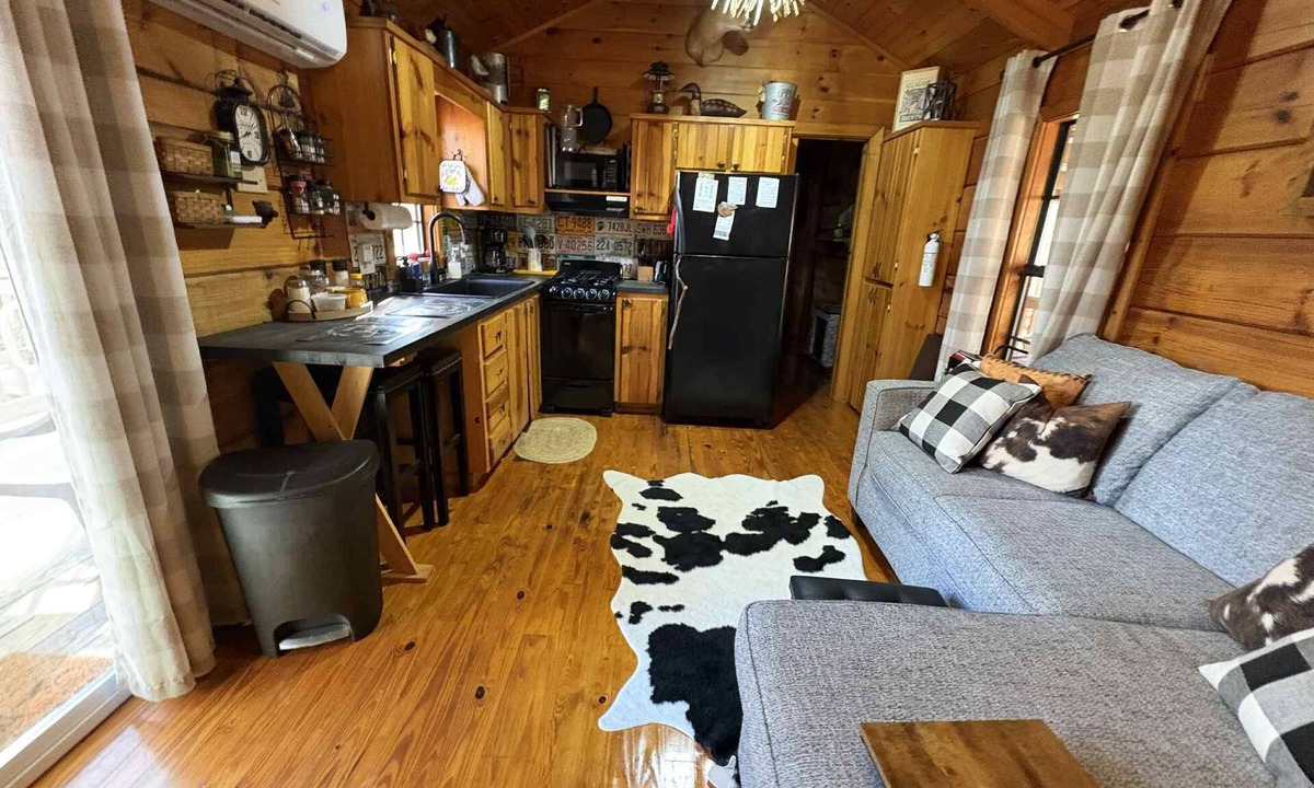 Ellijay Cabin | GUNSMOKE The not so "tiny" cabin with fenced back yard!