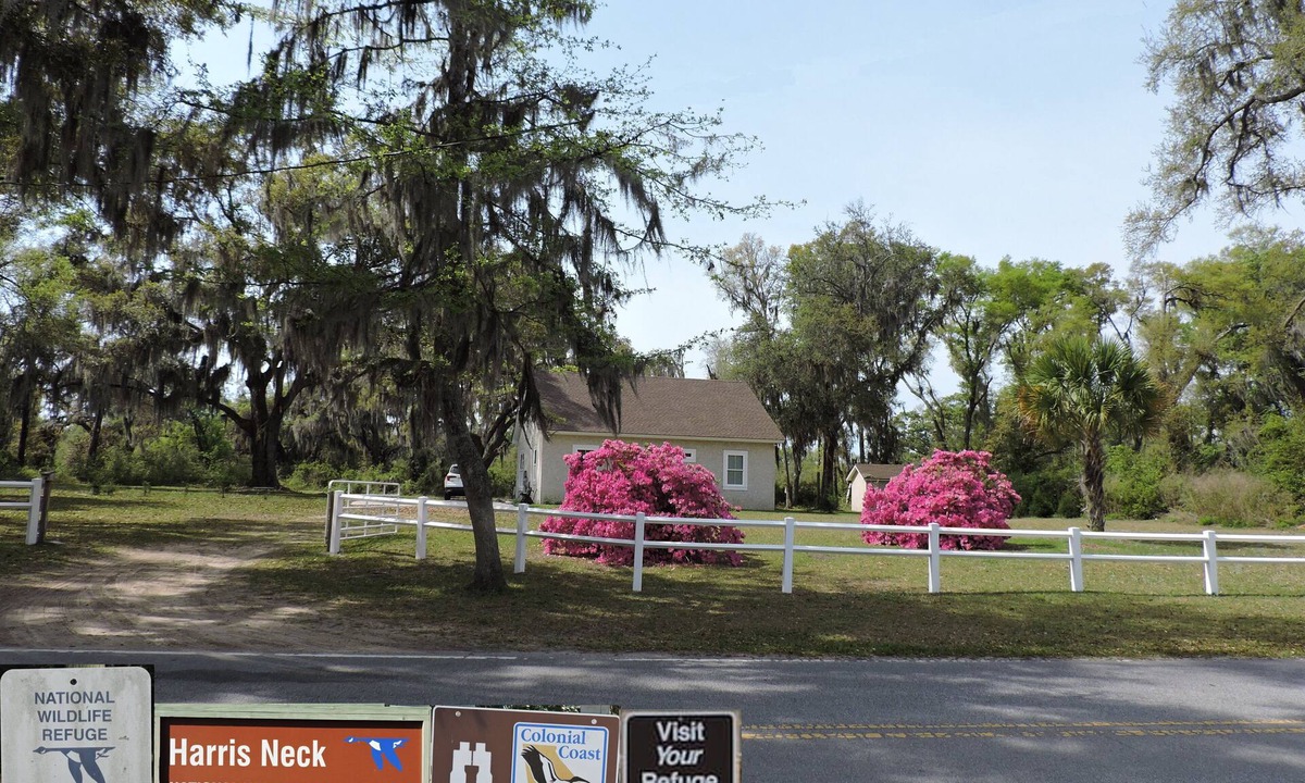 Valona Cabin | Harris Neck National Wildlife Refuge Cabin - Suite A