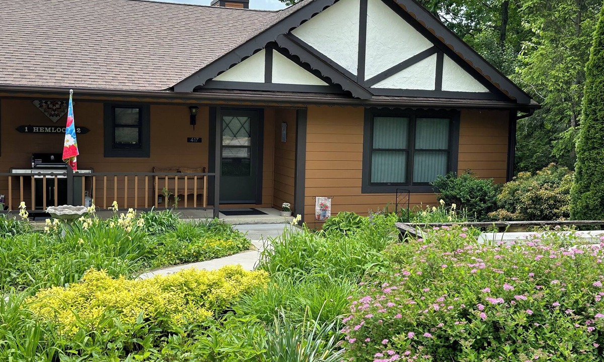 Burnsville Cottage | Hidden Mountain Gem with Fantastic Views!