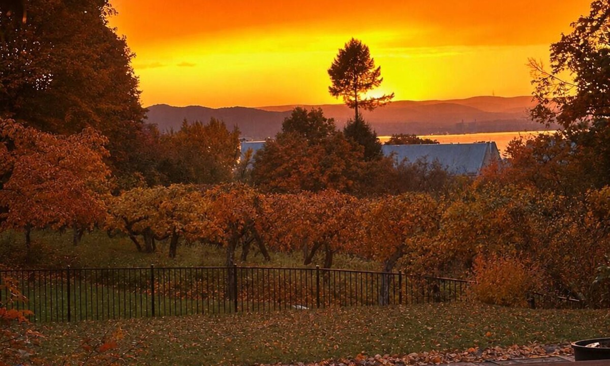 Ossining House | Hudson Valley Fall Escape · 50min to NYC · 3 Acre