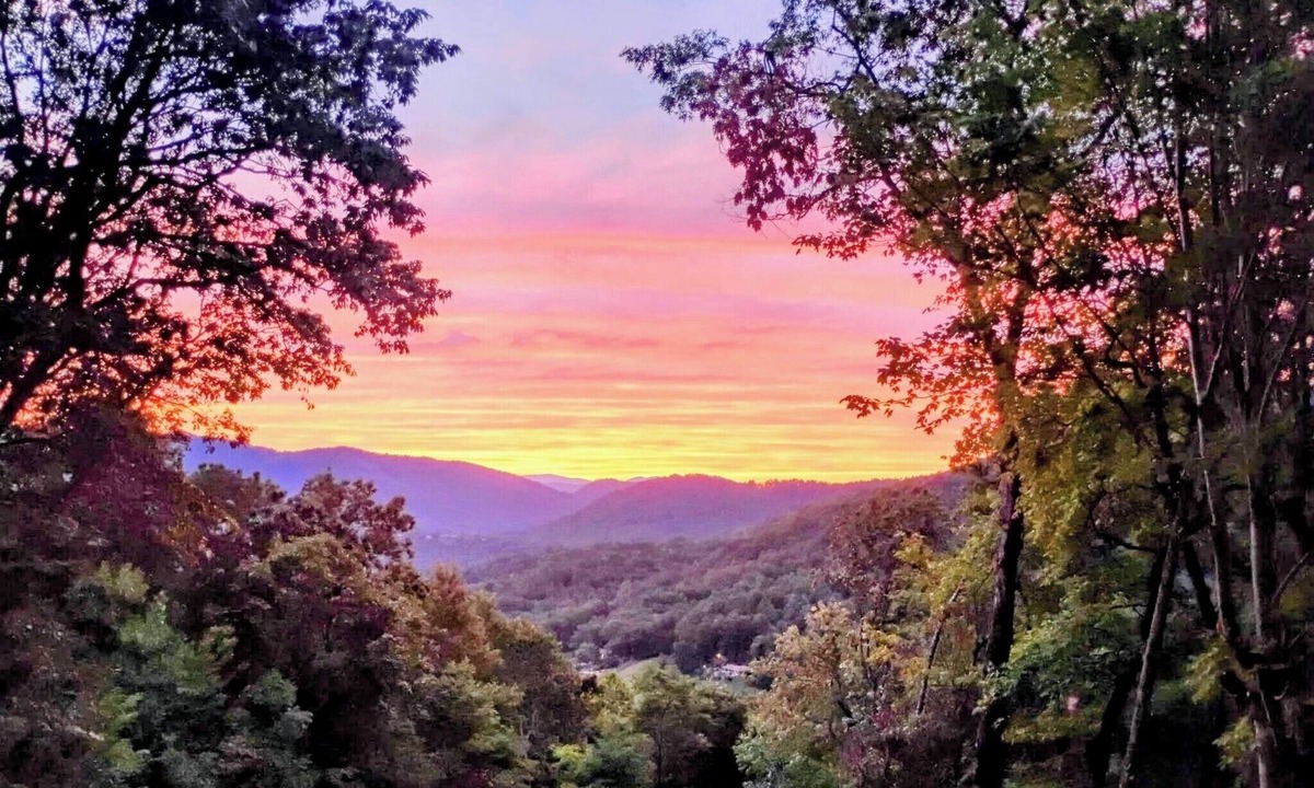 Screamer Mountain Cabin | Hummingbirds Haven w/Heavenly Mountain Views Dog Friendly!
