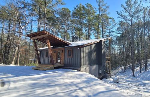 Mineral Bluff House | Lux Blue Ridge Cabin, Hot tub, Swing, PingPong!
