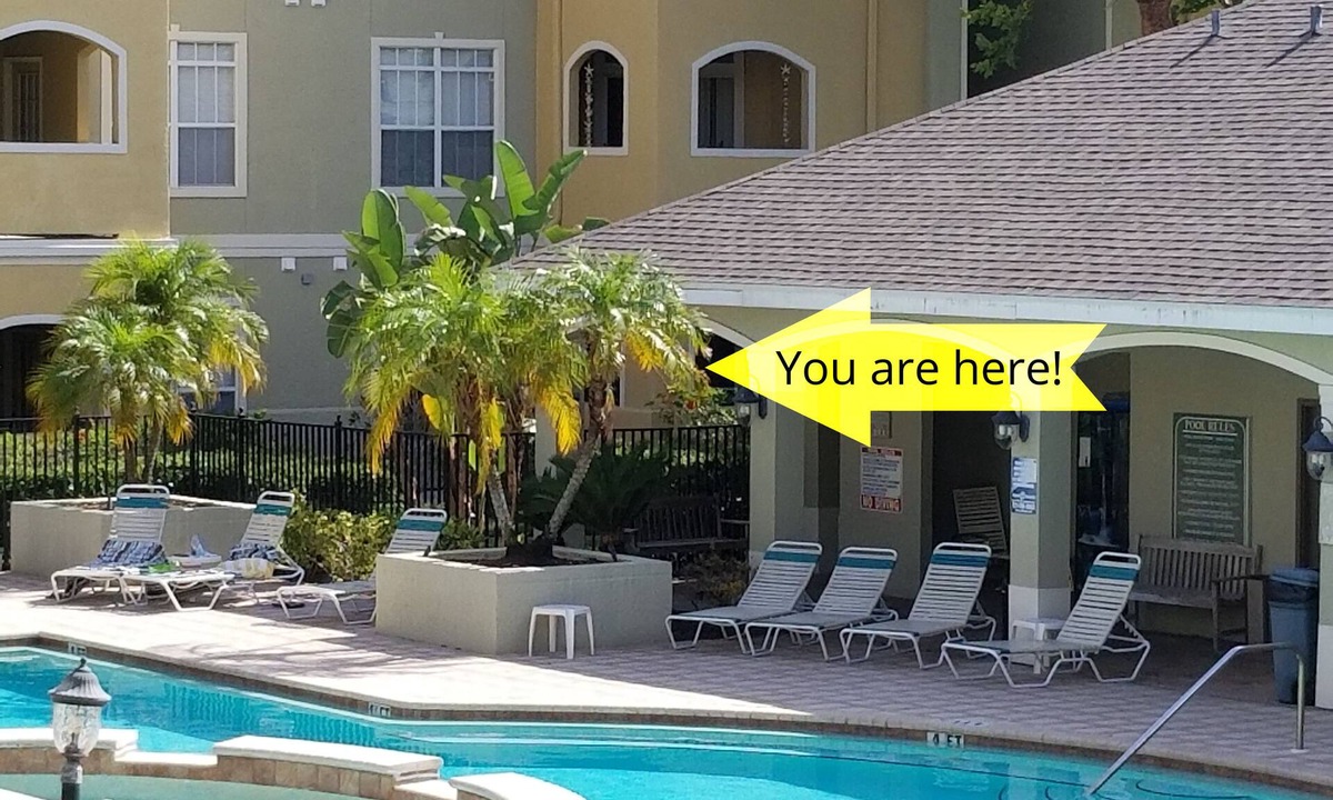 Clearwater Condo | NEW LISTING! AVALON - Newly renovated condo on ground floor with pool view.