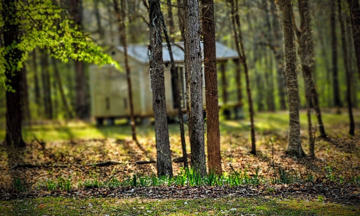 Inman Cabin | New Tiny House coming to Dirt Road Farms, pet-friendly & availble April 2026