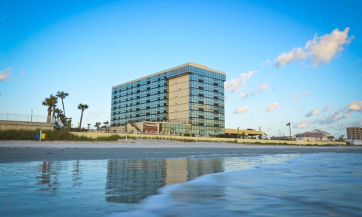 Daytona Beach Condo | Ocean View Studio Condo - turtle