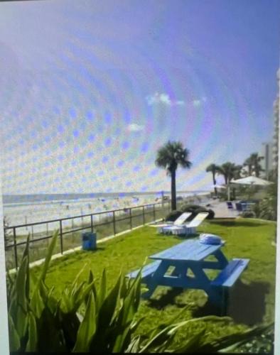 Daytona Beach Apartment | Oceanside apartment with Seaview 803