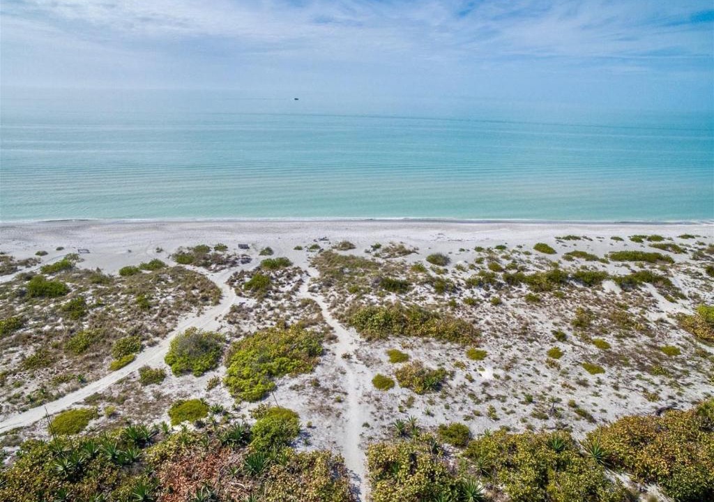Palmflower | Captiva
