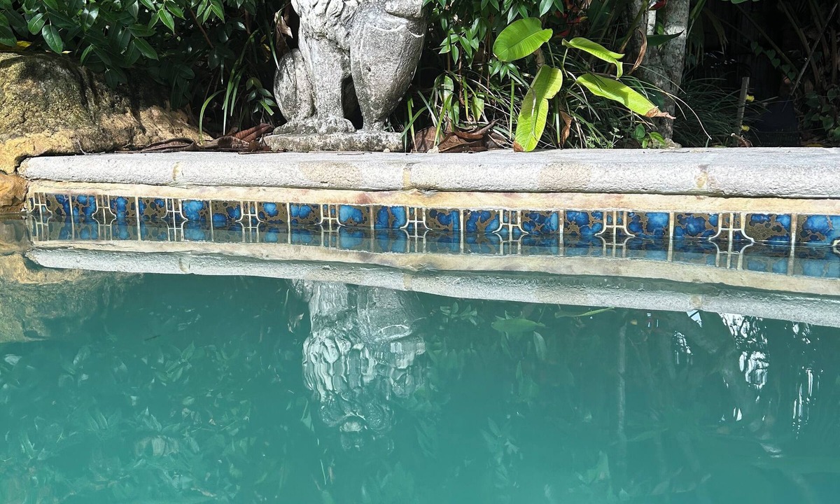 Palmetto Bay House | Palms, Pool and Waterfall-your perfect Miami vacation home