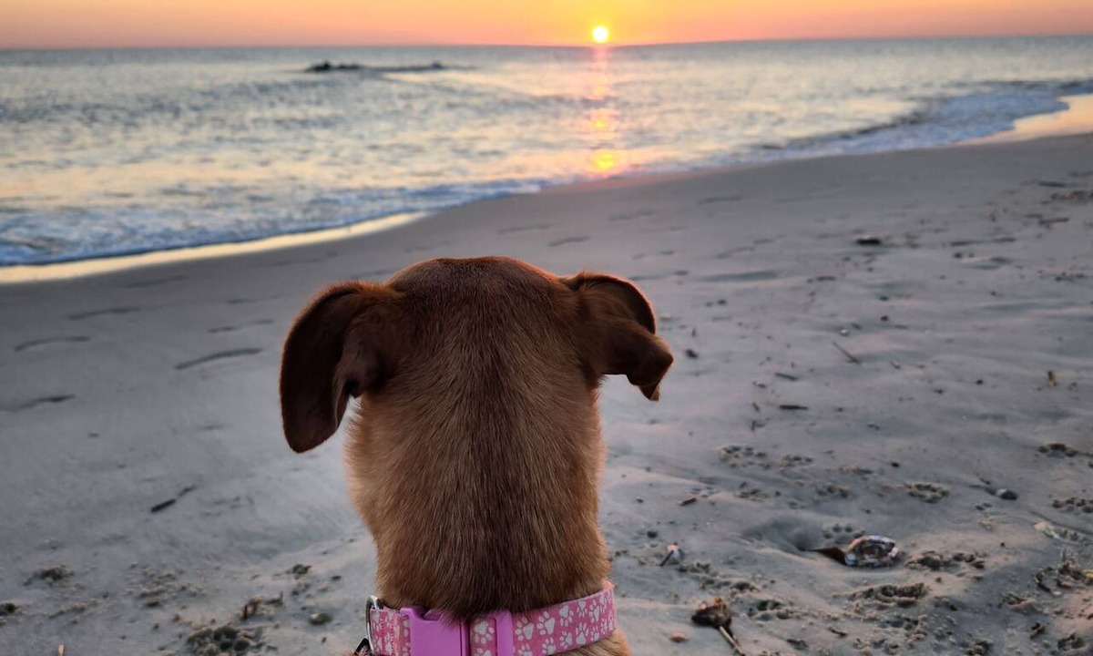 Villas House | Pet Friendly cottage w/game room by Delaware Bay Beach