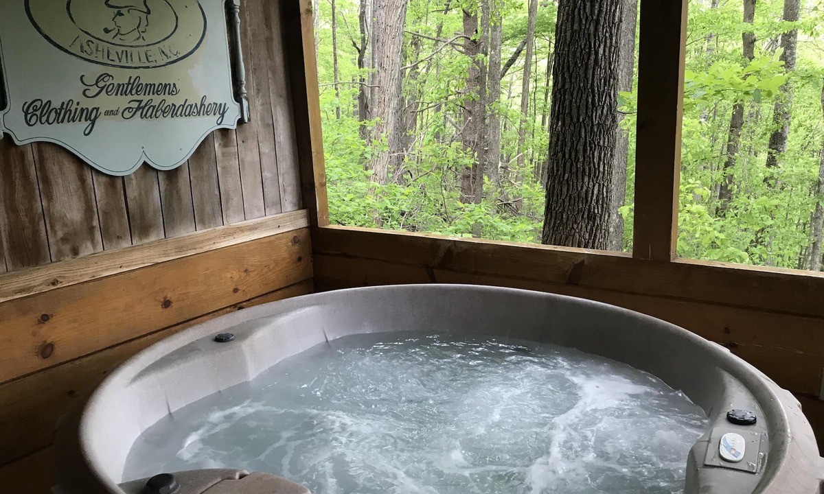 Candler Cabin | Pisgah Paws Pet-Friendly Cabin with Hot Tub & Forest Views