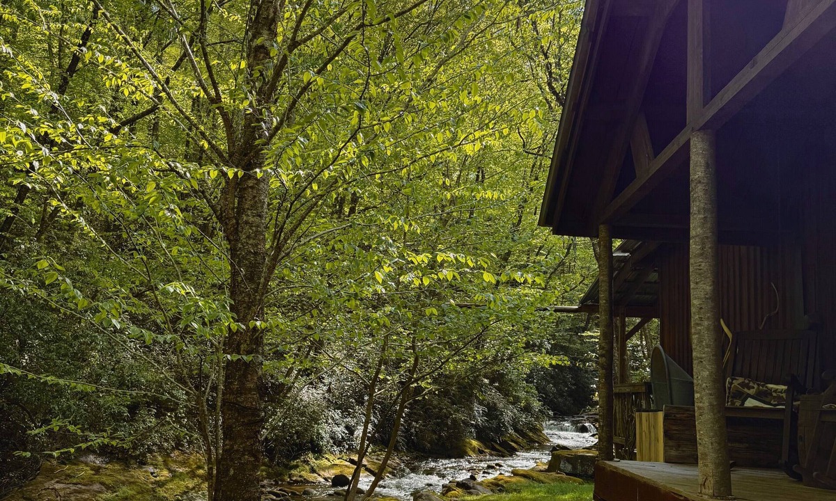 Robbinsville Cabin | Private Creekside Cabin Waterfall Hot Tub Lake Access
