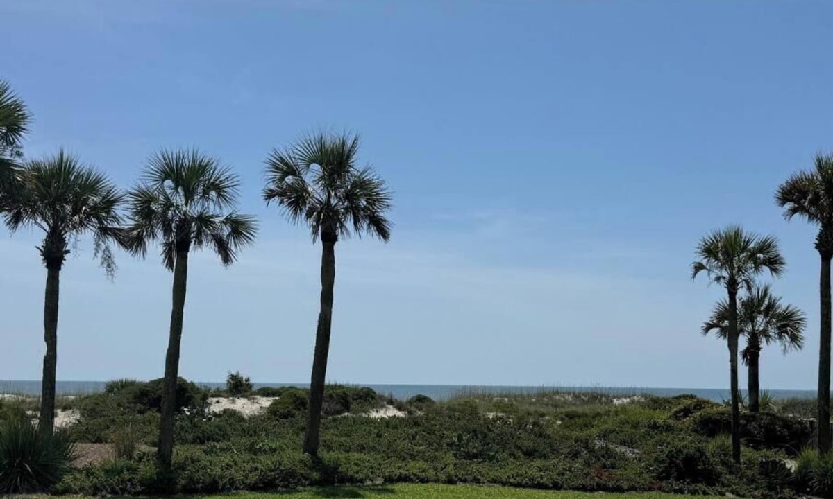 Amelia City Apartment | Relaxing OceanFront~FirstFloor~Steps to Sand~Pool