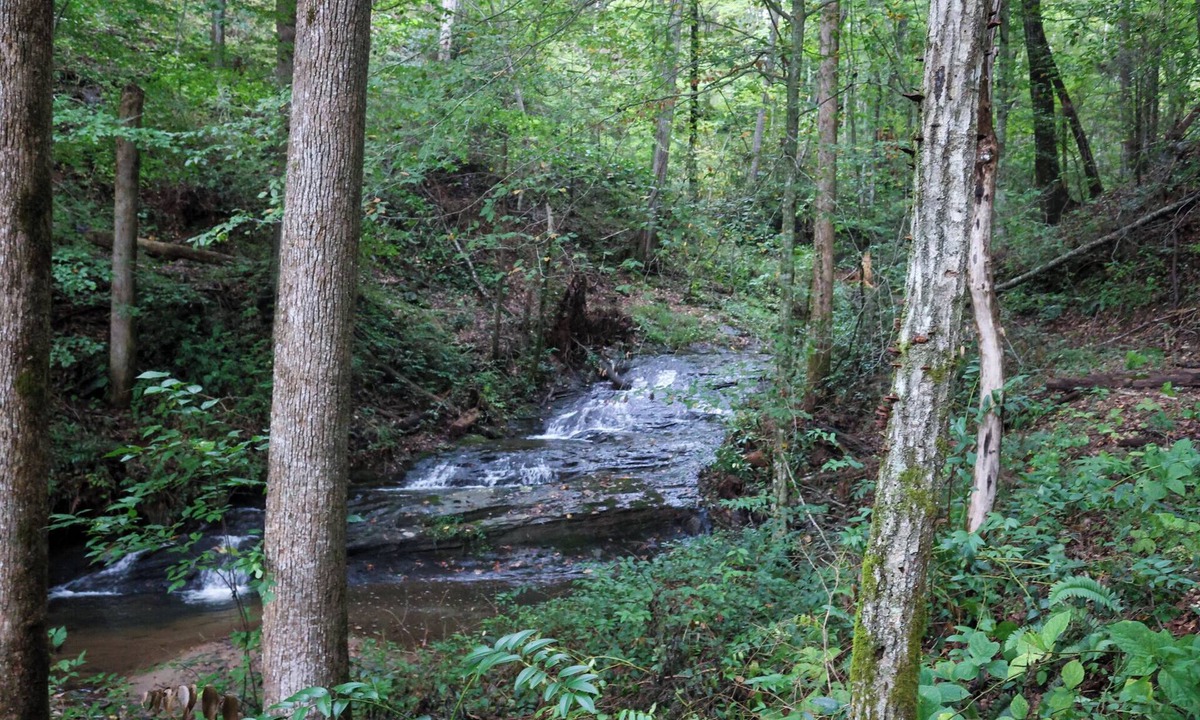 Clarkesville Apartment | Romantic Riverside Retreat with Waterfall Trail at Your Door