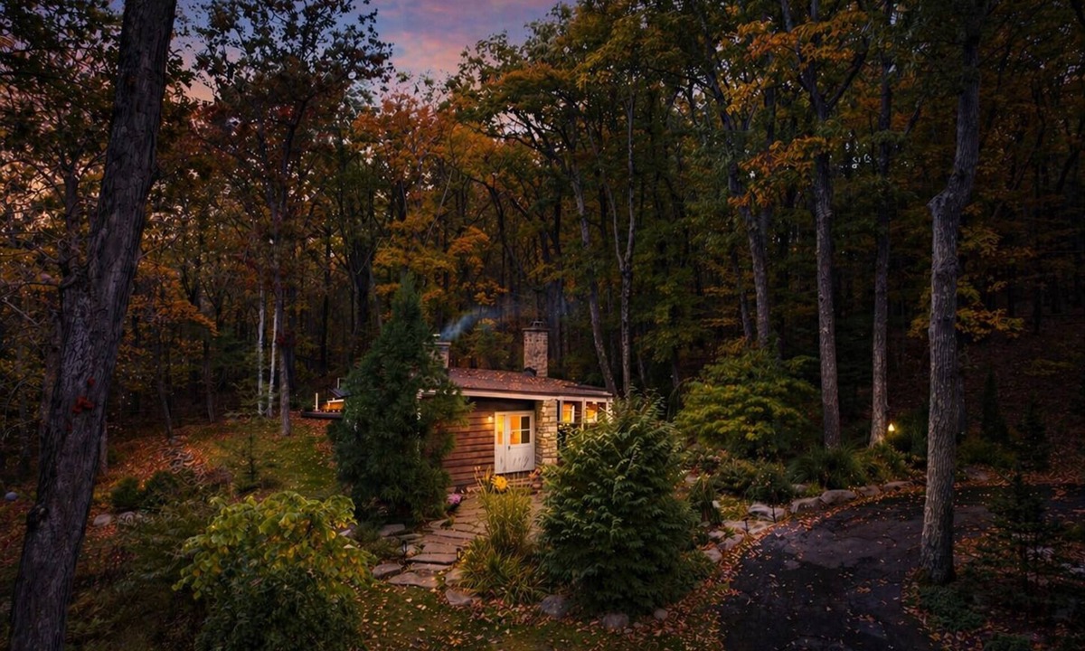 Skytop Cabin | Secluded Cabin Retreat on 6 Acres w/Fireplace, Trails, Creek & Record Player