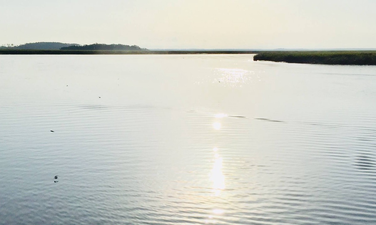 Sapelo Island Cottage | Secluded cottage on beautiful Sapelo Island